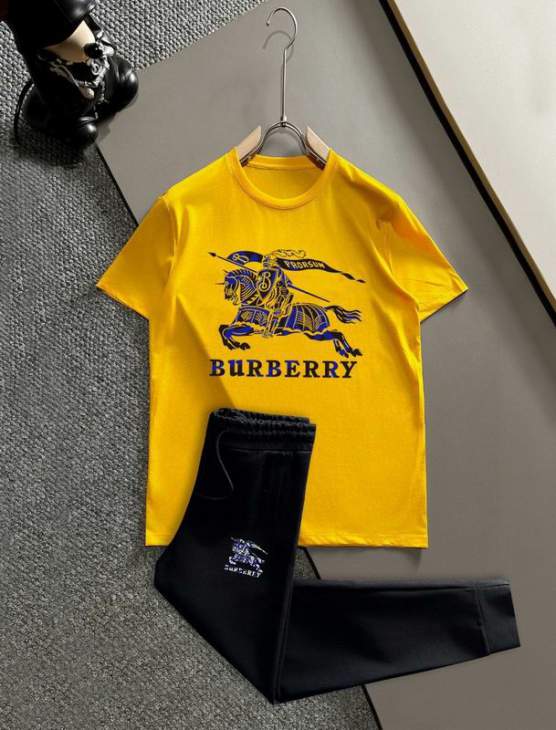 Picture of Burberry Shirt Pant Suits _SKUBurberryM-5XL13xr47420645